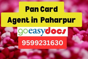 Pan Card Agent Consultant in Paharpur  8851415812