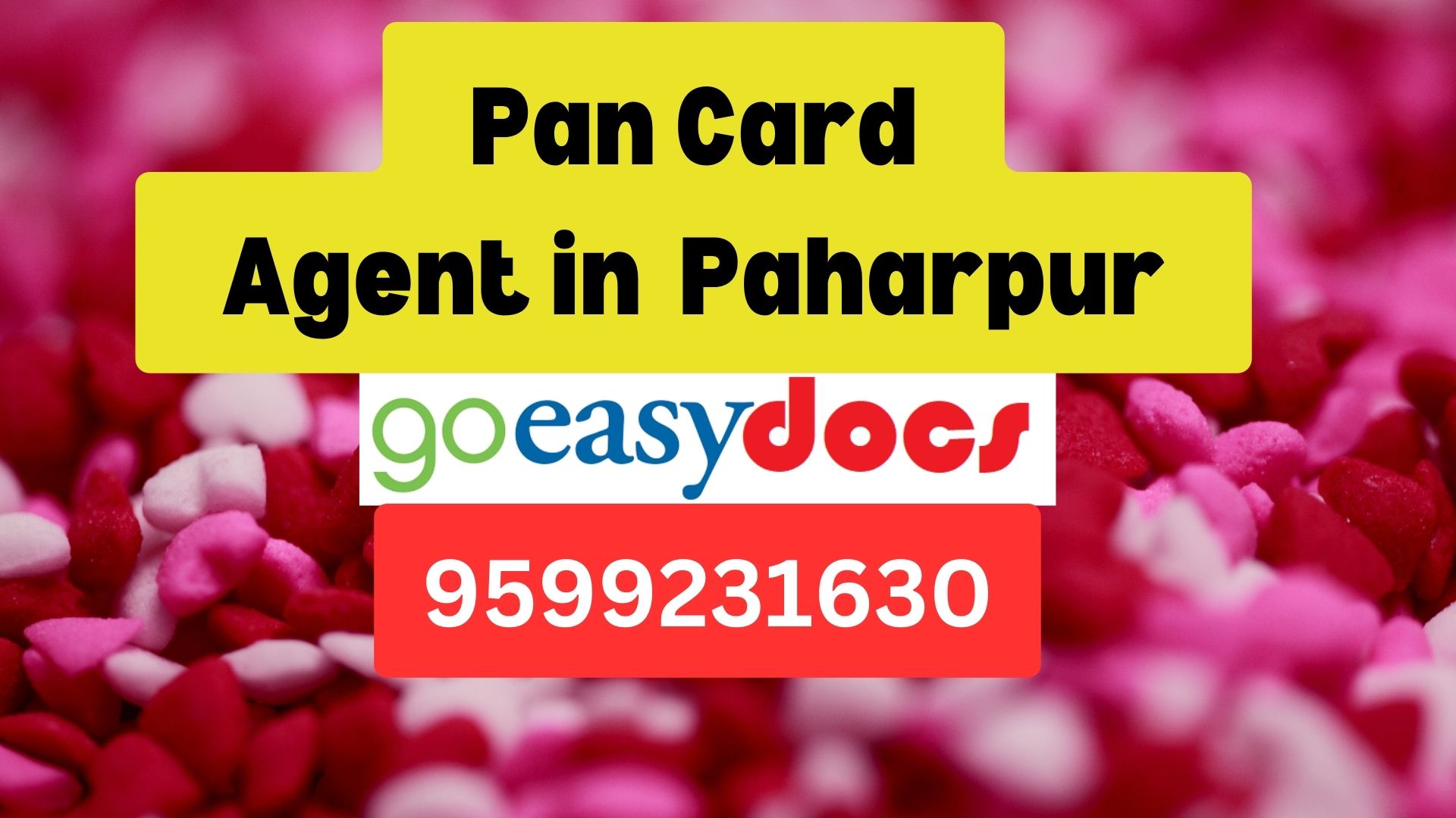 Pan Card Agent Consultant in Paharpur  8851415812