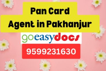 Pan Card Agent Consultant in Pakhanjur 8851415812