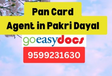 Pan Card Agent Consultant in Pakri Dayal 8851415812