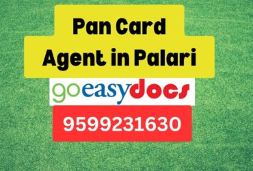 Pan Card Agent Consultant in Palari 8851415812