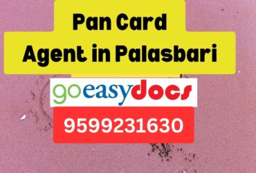 Pan Card Agent Consultant in Palasbari  8851415812