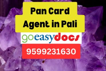 Pan Card Agent Consultant in Pali 8851415812