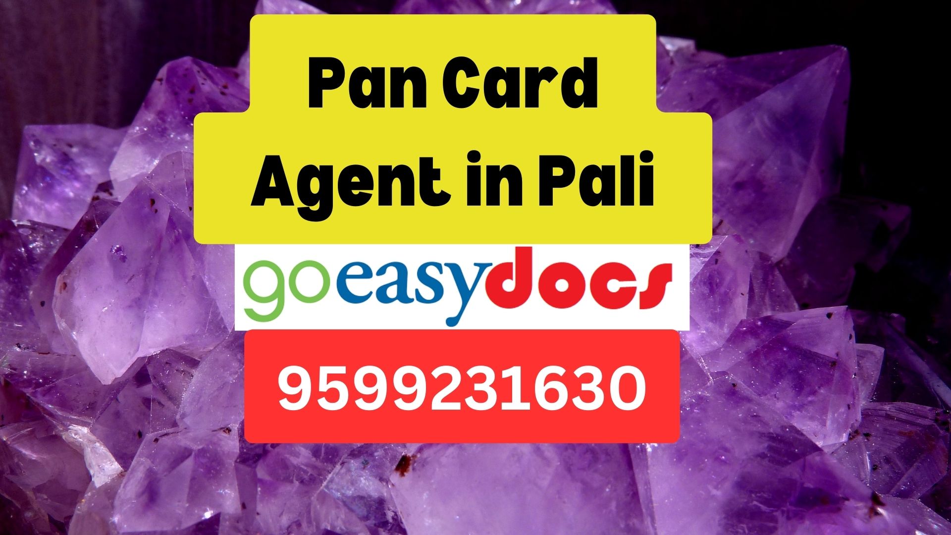 Pan Card Agent Consultant in Pali 8851415812