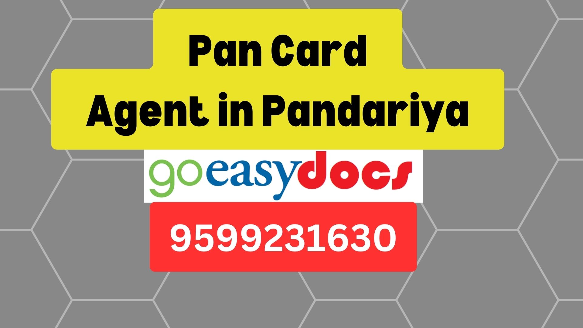 Pan Card Agent Consultant in Pandariya 8851415812