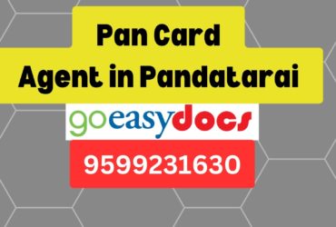 Pan Card Agent Consultant in Pandatarai 8851415812