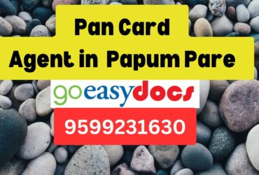 Pan Card Agent Consultant in Papum Pare  8851415812