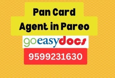 Pan Card Agent Consultant in Pareo 8851415812