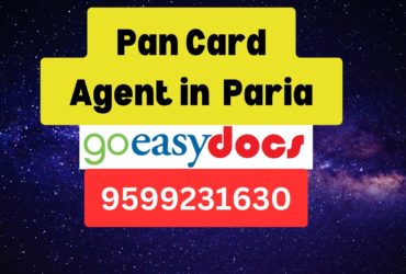 Pan Card Agent Consultant in Paria  8851415812