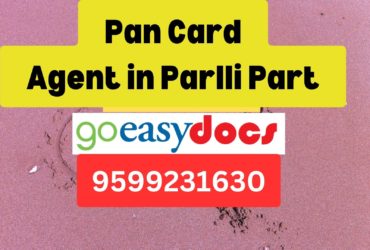 Pan Card Agent Consultant in Parlli Part  8851415812