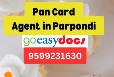 Pan Card Agent Consultant in Parpondi 8851415812