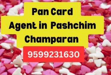 Pan Card Agent Consultant in Pashchim Champaran  8851415812