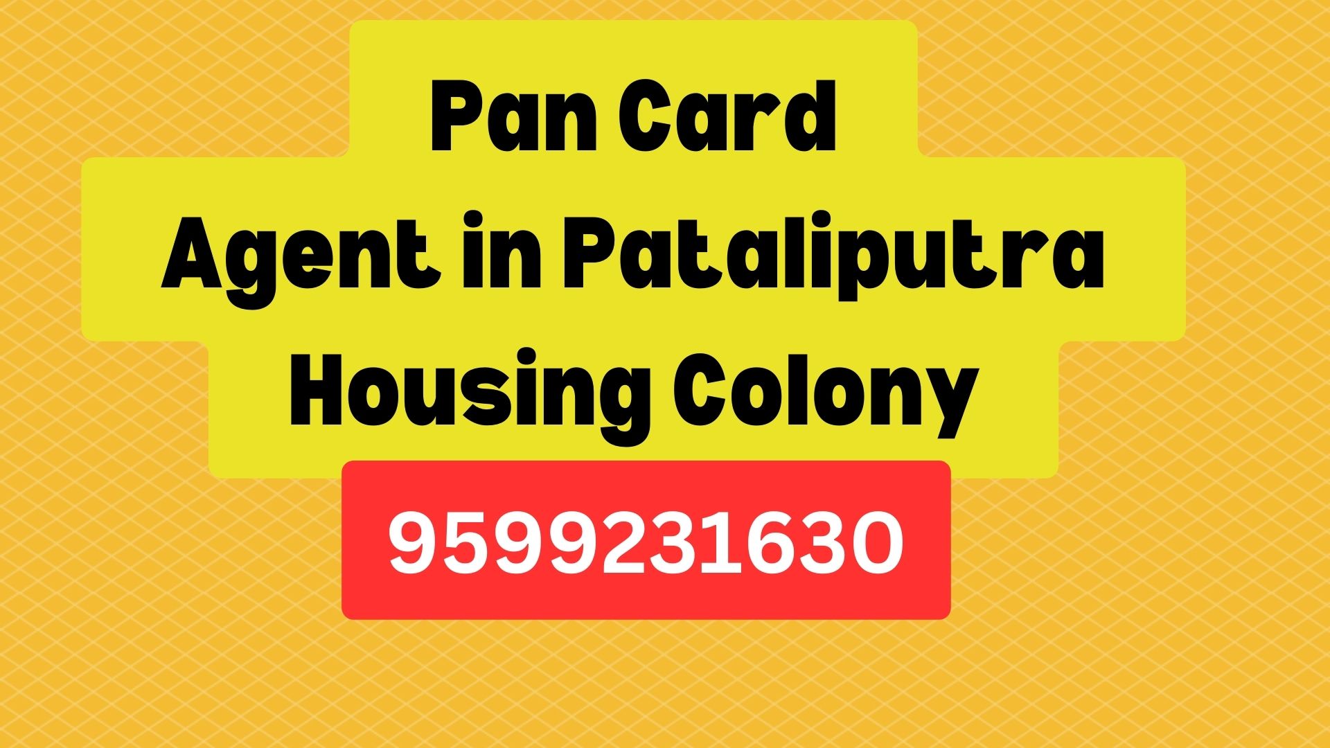 Pan Card Agent Consultant in Pataliputra Housing Colony 8851415812