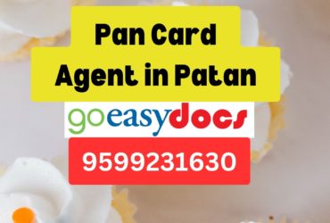 Pan Card Agent Consultant in Patan 8851415812