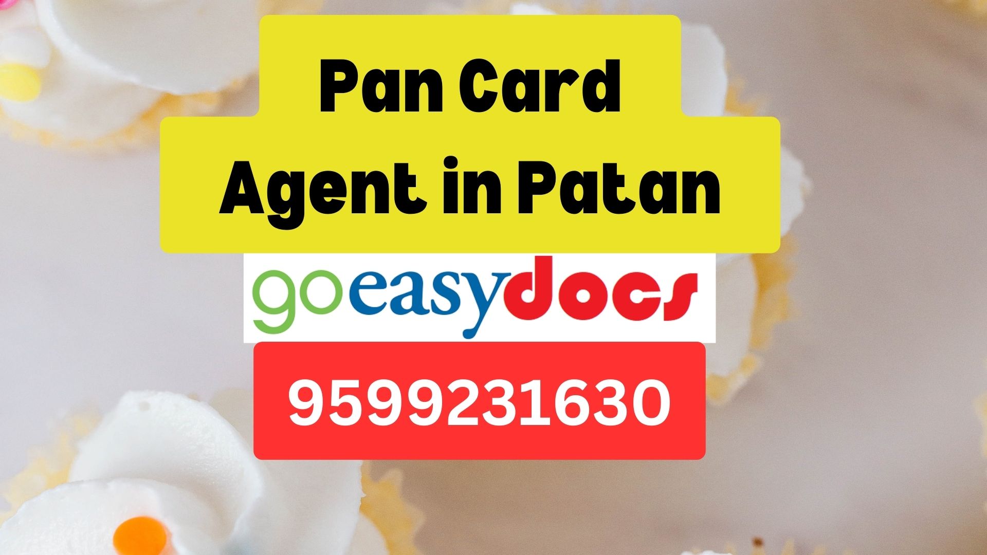 Pan Card Agent Consultant in Patan 8851415812