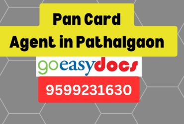 Pan Card Agent Consultant in Pathalgaon 8851415812