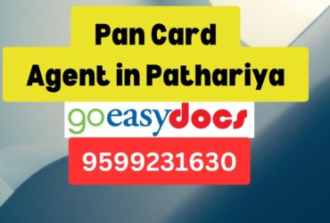 Pan Card Agent Consultant in Pathariya 8851415812