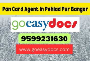 Pan Card Agent Consultant in Pehlad Pur Bangar 8851415812