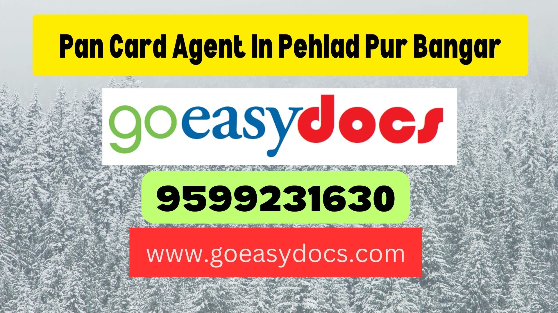 Pan Card Agent Consultant in Pehlad Pur Bangar 8851415812