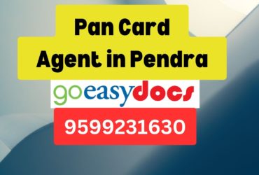 Pan Card Agent Consultant in Pendra 8851415812