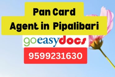 Pan Card Agent Consultant in Pipalibari  8851415812