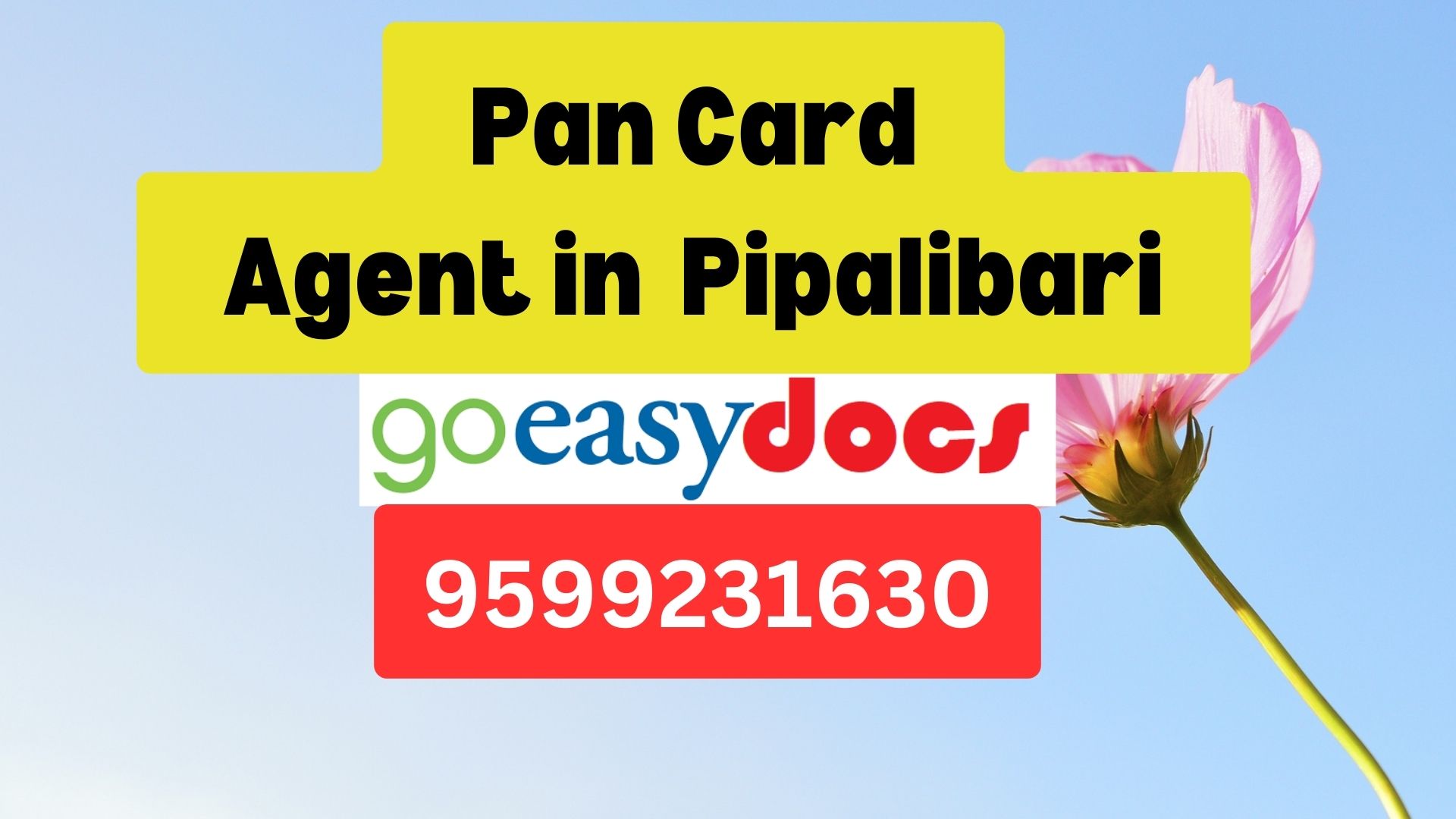 Pan Card Agent Consultant in Pipalibari  8851415812