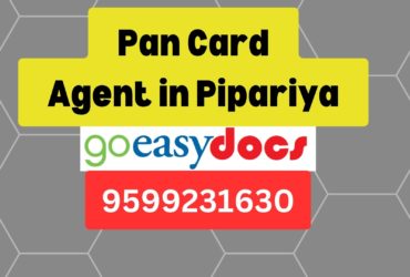 Pan Card Agent Consultant in Pipariya 8851415812