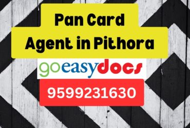 Pan Card Agent Consultant in Pithora 8851415812