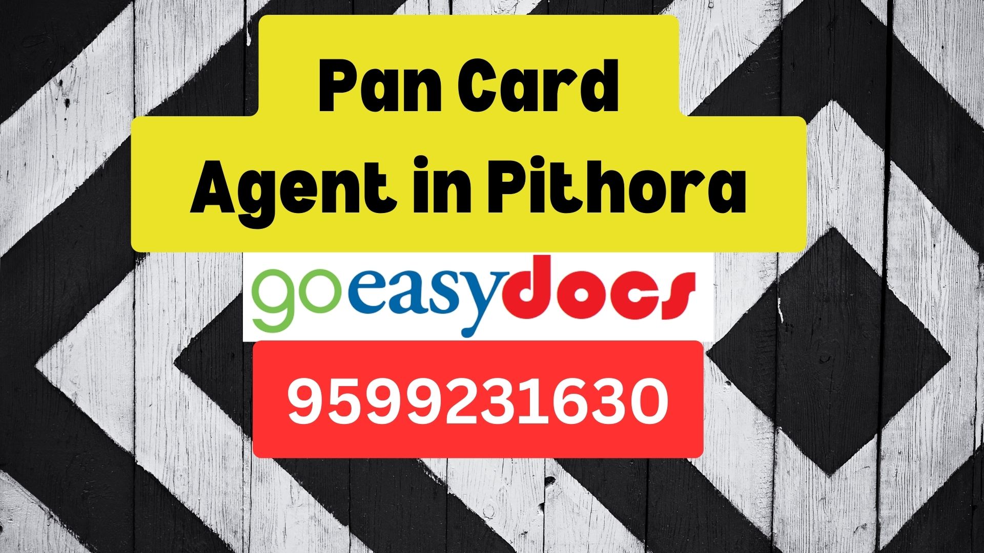 Pan Card Agent Consultant in Pithora 8851415812