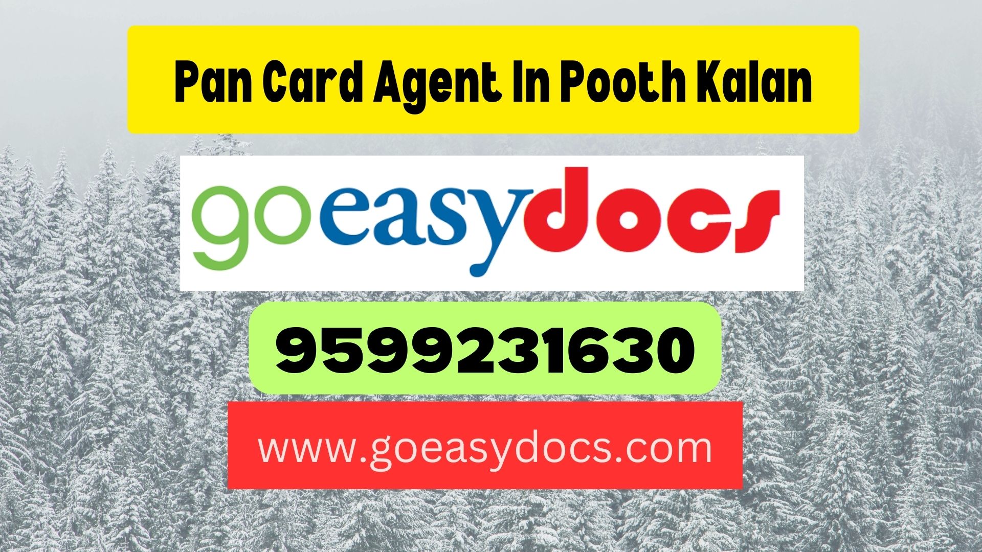 Pan Card Agent Consultant in Pooth Kalan 8851415812