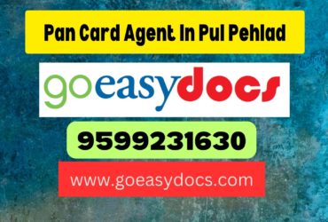 Pan Card Agent Consultant in Pul Pehlad 8851415812