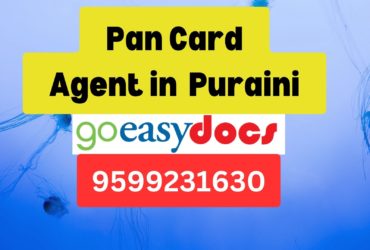 Pan Card Agent Consultant in Puraini  8851415812