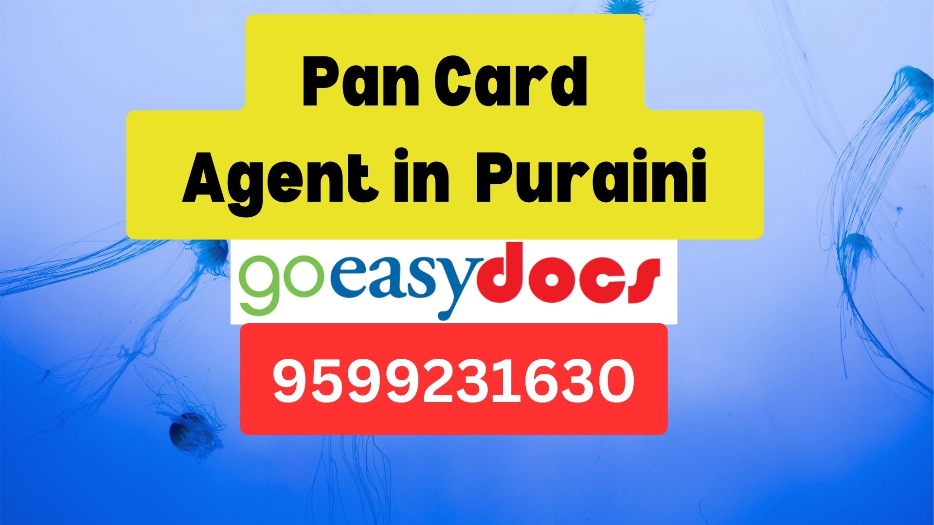 Pan Card Agent Consultant in Puraini  8851415812