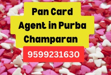 Pan Card Agent Consultant in Purba Champaran   8851415812