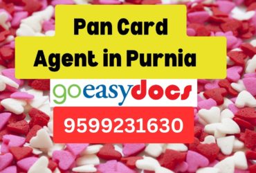 Pan Card Agent Consultant in Purnia   8851415812