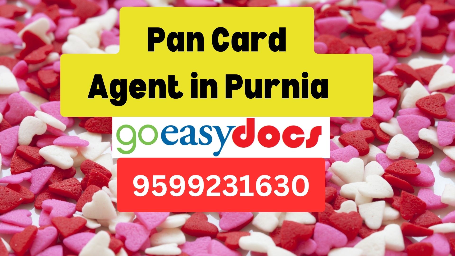 Pan Card Agent Consultant in Purnia   8851415812