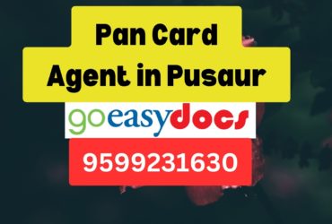 Pan Card Agent Consultant in Pusaur 8851415812