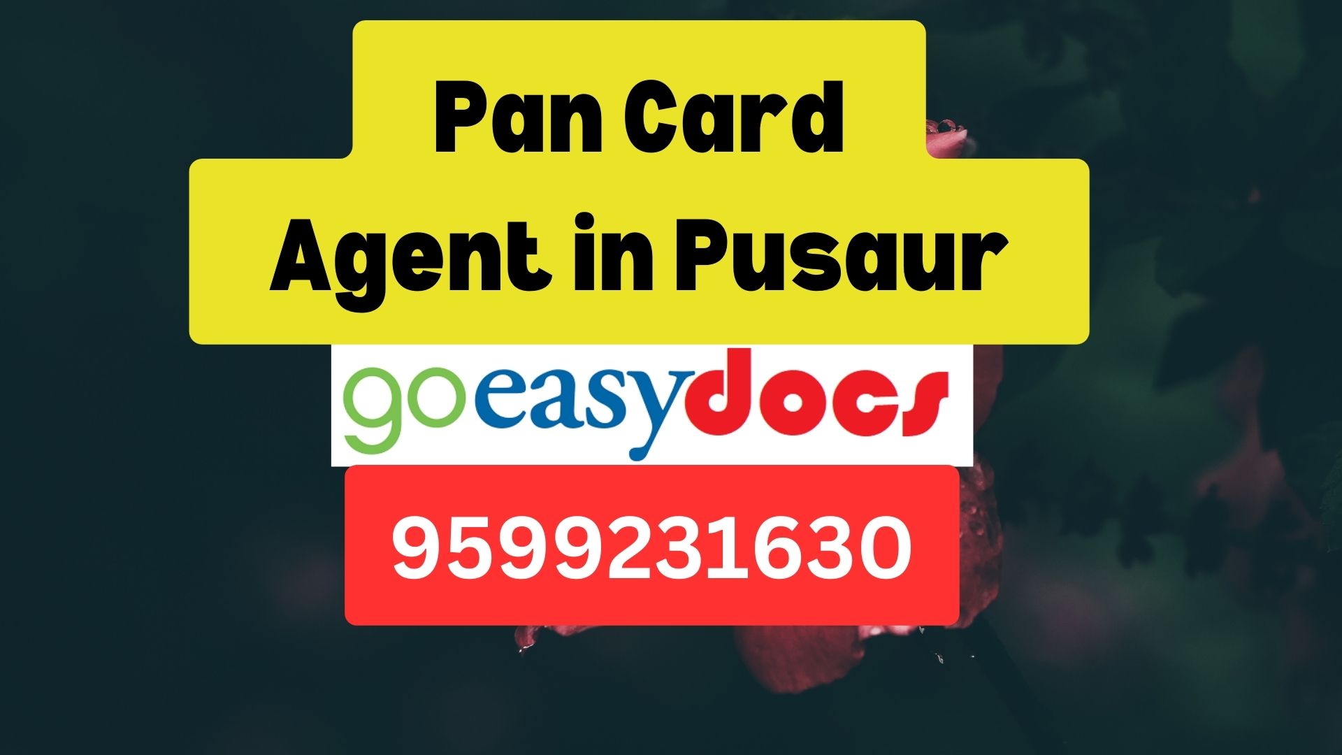 Pan Card Agent Consultant in Pusaur 8851415812