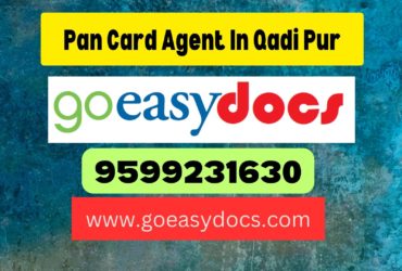 Pan Card Agent Consultant in Qadi Pur 8851415812