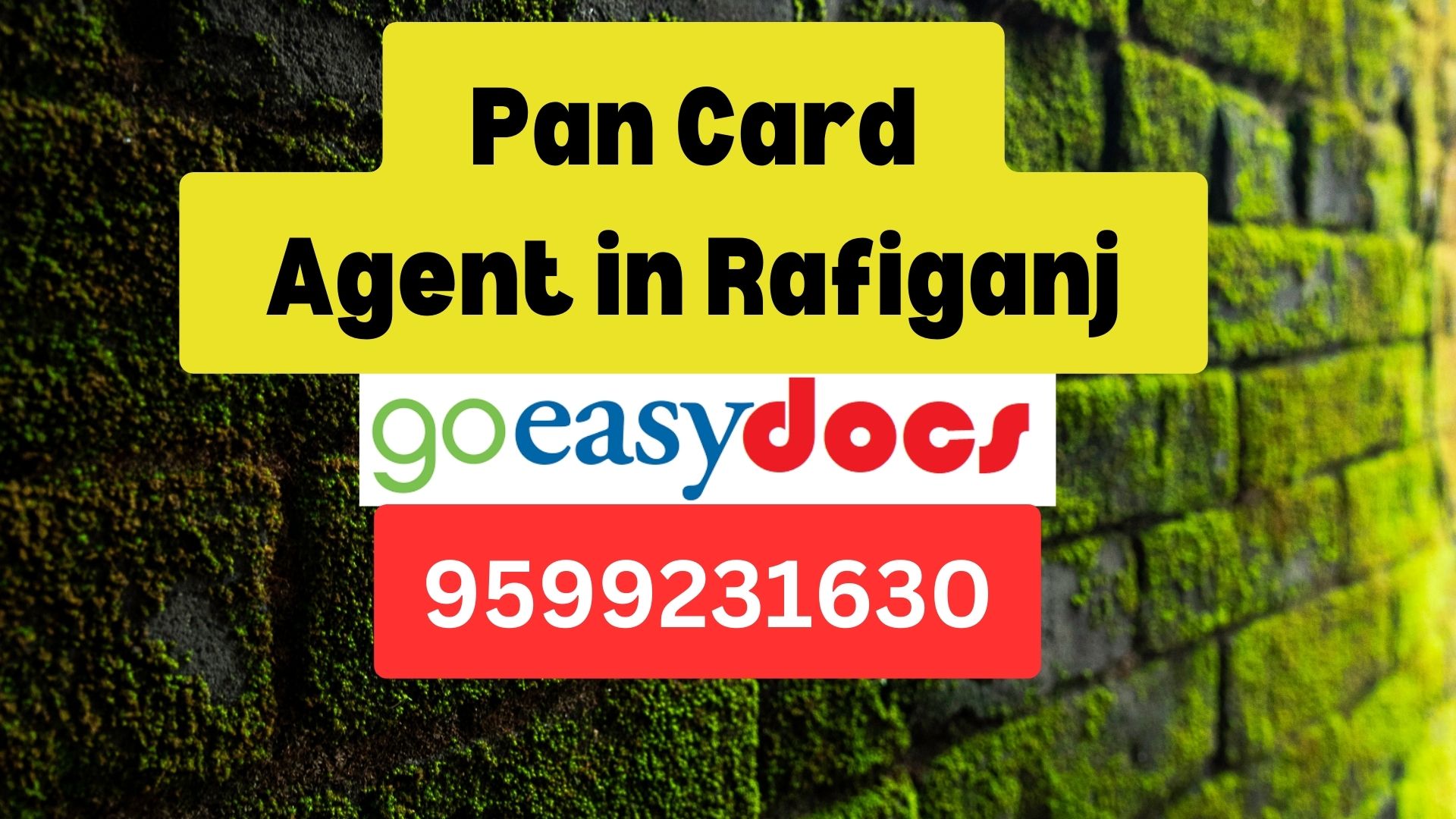 Pan Card Agent Consultant in Rafiganj  8851415812