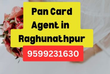 Pan Card Agent Consultant in Raghunathpur  8851415812