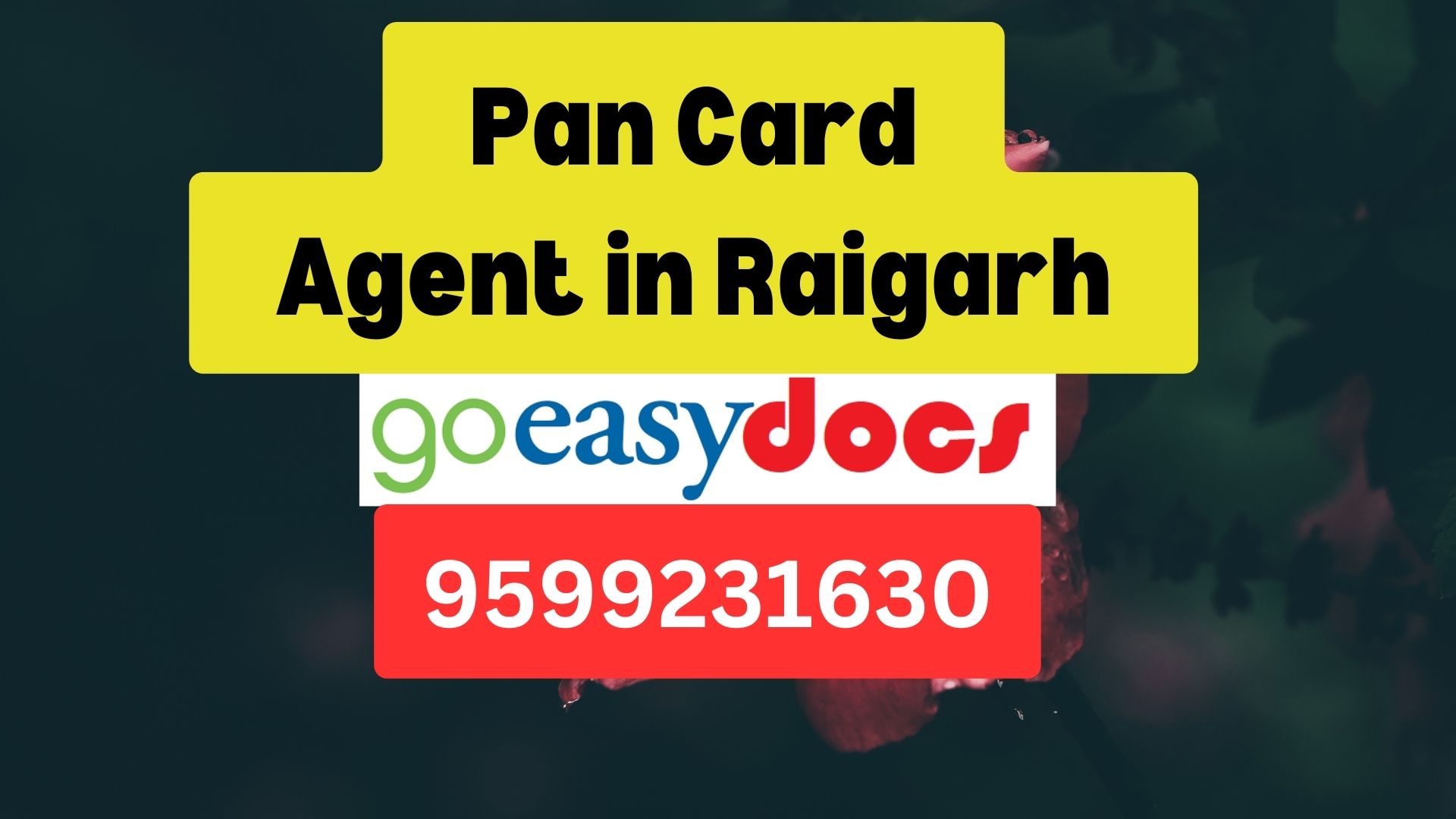 Pan Card Agent Consultant in Raigarh 8851415812