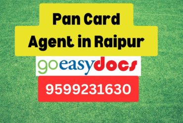 Pan Card Agent Consultant in Raipur 8851415812