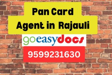 Pan Card Agent Consultant in Rajauli  8851415812