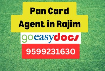 Pan Card Agent Consultant in Rajim 8851415812