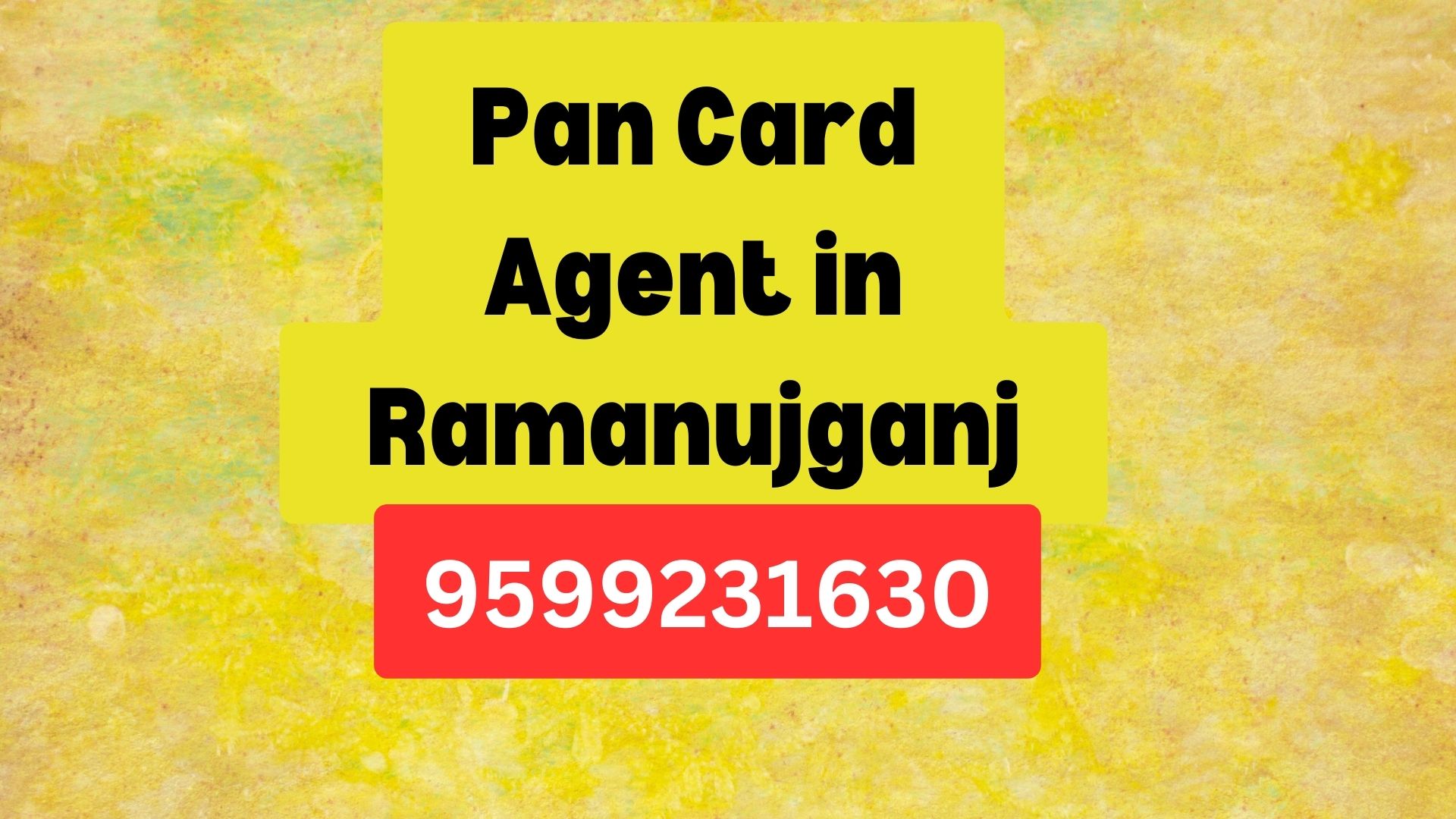 Pan Card Agent Consultant in Ramanujganj 8851415812