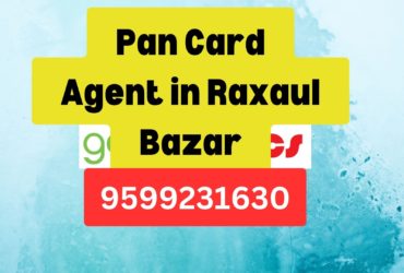 Pan Card Agent Consultant in Raxaul Bazar 8851415812