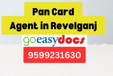 Pan Card Agent Consultant in Revelganj 8851415812