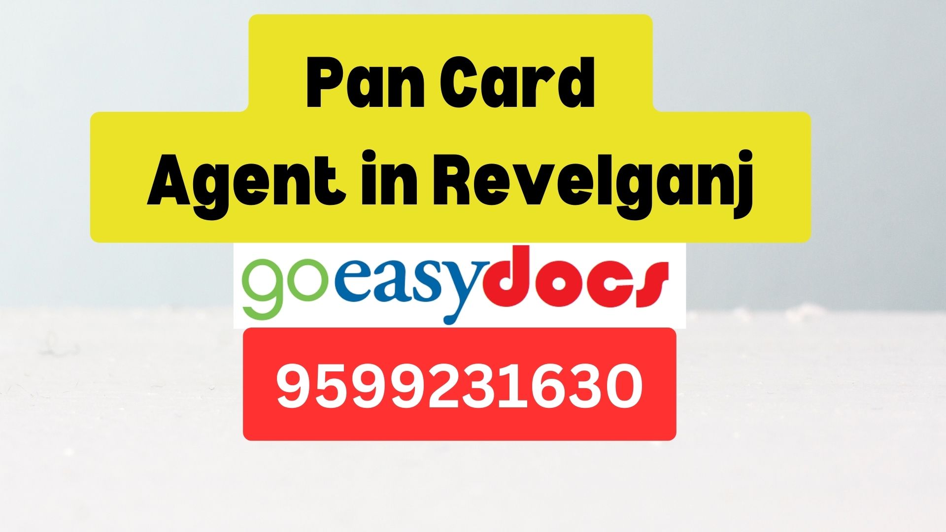 Pan Card Agent Consultant in Revelganj 8851415812