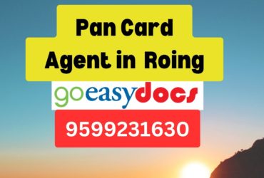 Pan Card Agent Consultant in Roing  8851415812